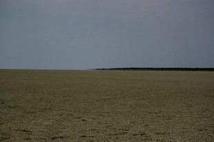 692 Namibia Okt 2006 .JPG